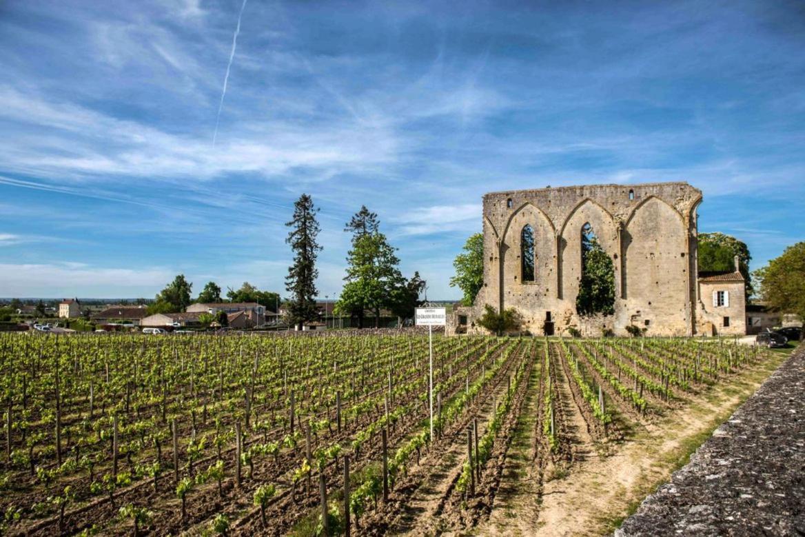 Maison Cosy Avec Vue Sur Les Vignes. Libourne Luaran gambar