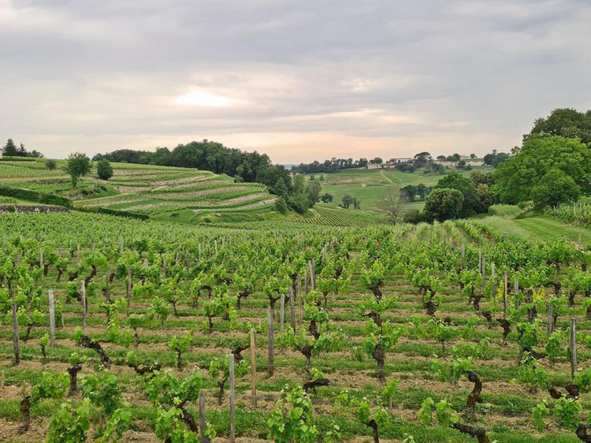Maison Cosy Avec Vue Sur Les Vignes. Libourne Luaran gambar