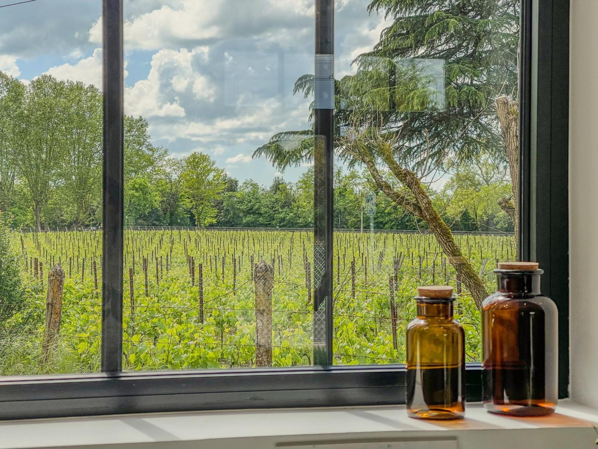 Maison Cosy Avec Vue Sur Les Vignes. Libourne Luaran gambar
